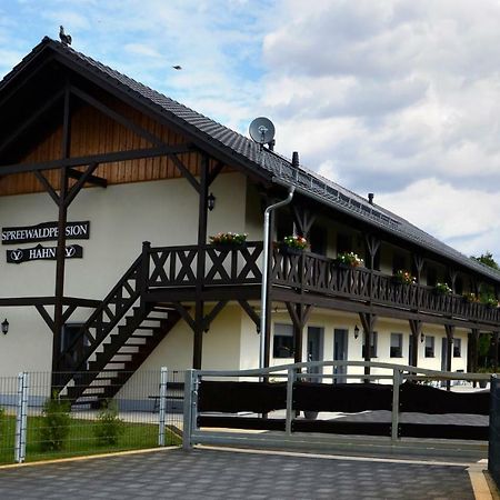 Spreewaldpension Hahn Alt Zauche Bagian luar foto